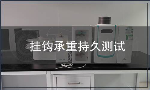 挂钩承重持久测试